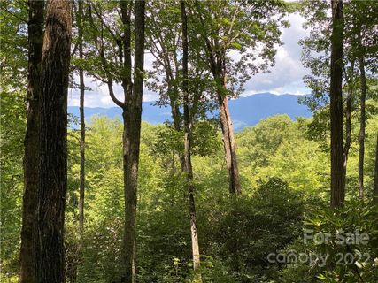 Lt 168 Preserve Road