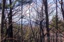 Lot 573 574 Timber View Drive 573/574 sold home in Lenoir, SC