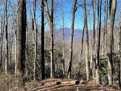 3643 Preserve Road 101