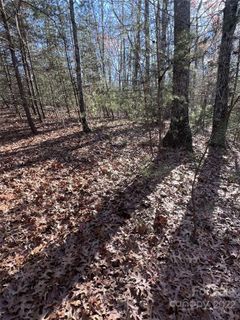 000 Twin Maple Way 5