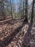 000 Twin Maple Way 5 sold home in Mill Spring, SC