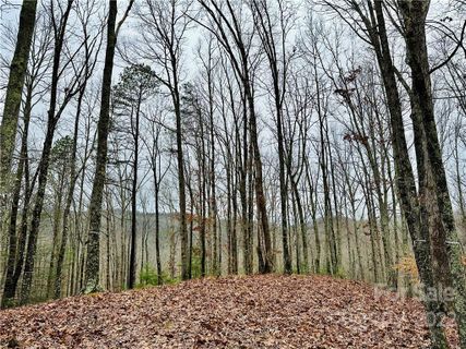 921 Wild River Run active home in French Broad Crossing, Marshall, NC