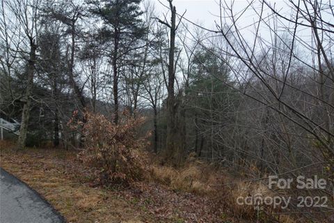 000 Curly Maple Drive 1 sold home in Silent Forest, Canton, NC