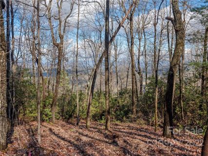 000 Pinnacle Mountain Road sold home in Bear Rock Mtn Estates, Hendersonville, NC