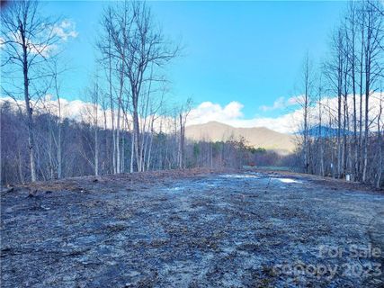 138 Fairlane Loop Lt 19 sold home in Torwood, Whittier, NC