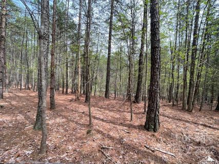 0 Jons Forest Drive Lot 8