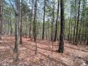0 Jons Forest Drive Lot 8 sold home in Nebo, SC