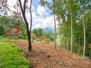 00 Club Drive 7 sold home in Canton, SC