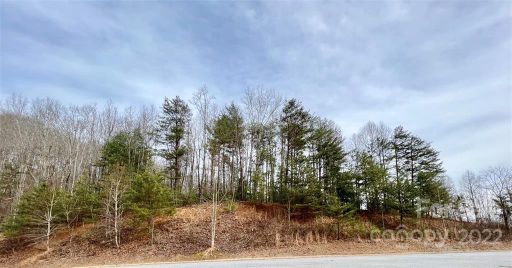 2 19 Acres Lot 48 Round Rock Road