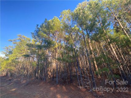 0 Lakeside Trail 54