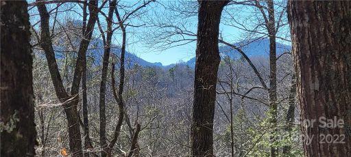 Lot 91 Black Oak Drive