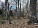 118 Springdale Avenue sold home in Asheville, SC