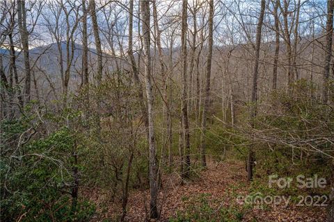 8 Wood Lily Trail 14