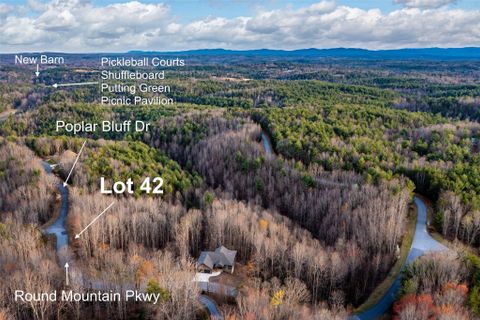 2 32 Acres Lot 42 Round Mountain Parkway