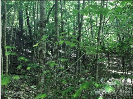 Lot 57 Clear Spring Trail