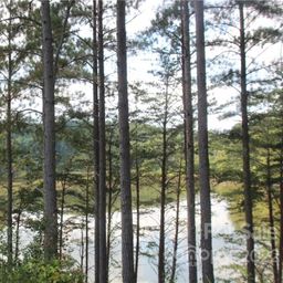 2038 Inlet Shore Road