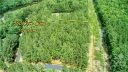 560 Cove Wood Drive 77 sold home in Denton, SC