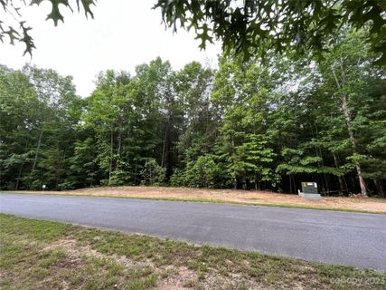 Tbd Poplar Bluff Drive 40