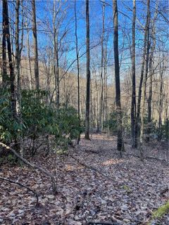 2919 Preserve Road 103