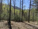 C28 Nuthatch Lane sold home in Black Mountain, SC