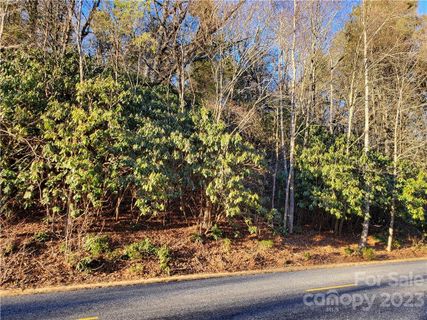 99999 Fairview Forest Drive