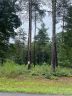 3146 Bear Paw Avenue 38 sold home in Valdese, SC