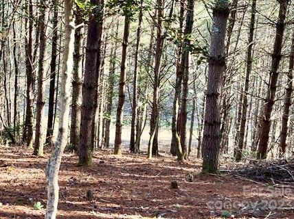 2 29 Acres Lot 94 Crescent Ridge Drive