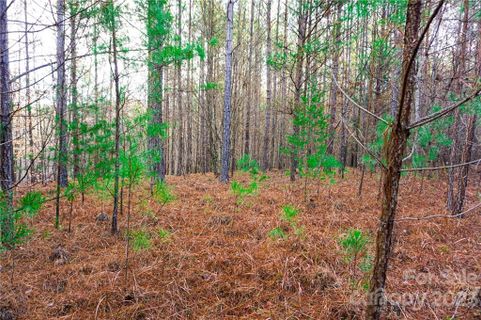 Lot 11 Destiny Drive sold home in Contuck Preserve, Mill Spring, NC