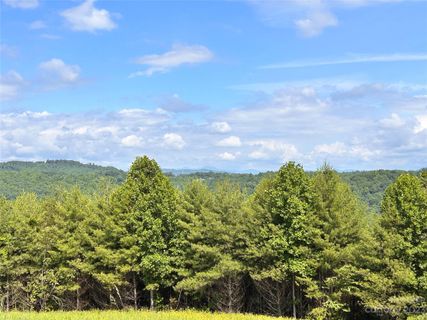 661 Whites Lake Boulevard 25R sold home in Whites Lake, Saluda, NC