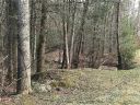 868 Wash Freeman Road sold home in Hendersonville, SC