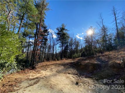 00000 Old Mt Olivet Road 6 sold home in Hickory Run, Zirconia, NC
