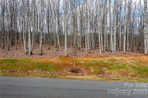 Lot 8 Brancer Lane