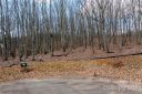 Lot 11 Brancer Lane sold home in Lincolnton, SC