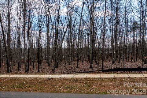 Lot 14 Brancer Lane