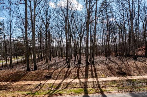 Lot 20 Brancer Lane
