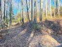 19 N Willow Wood Trail sold home in Hendersonville, SC