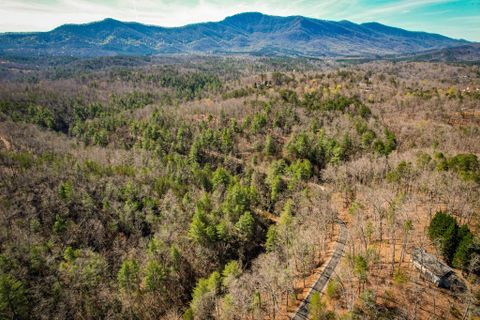00 Ostin Creek Trail 18