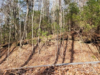 Lot 19 Majestic Trace sold home in Pinnacle Mountain View, Hendersonville, NC