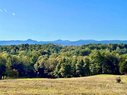1 36 Acres Lot G48 2077 Hitching Post Trail