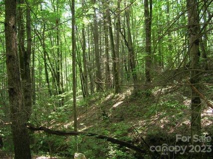 Lot 19 Sunkota Trail active home in The Settlement At Thomas Divide, Bryson City, NC