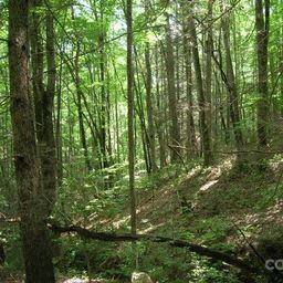 Lot 19 Sunkota Trail