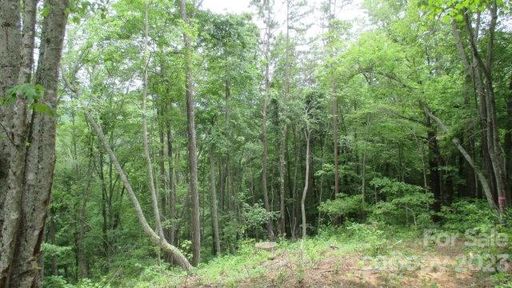 Lot 37 Deeplow Gap None active home in The Settlement At Thomas Divide, Bryson City, NC