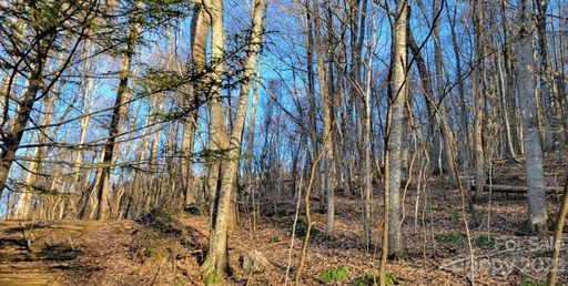 00 Parker Drive sold home in Hemlock Forest, Maggie Valley, NC