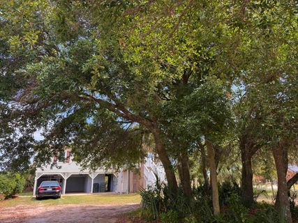 1904 Palmetto Boulevard