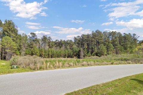1319 Wood Sorrel Drive