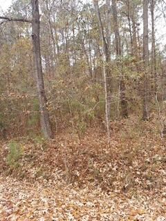 Lot 206 Prices Bridge Lane