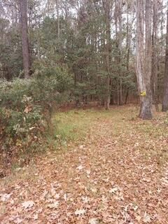 Lot 208 Prices Bridge Lane