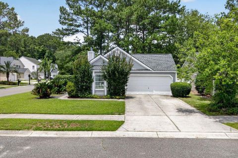 Homes in The Peninsula, Charleston