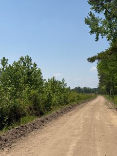 1725 Bethel Forest Road