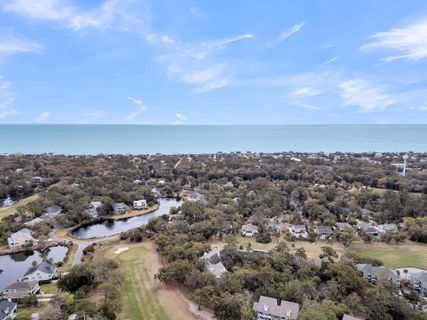 Homes in Driftwood Villa, Edisto Island
